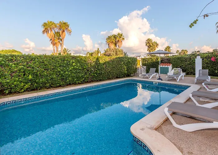 Gum קאלאן בוש